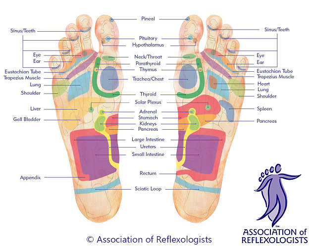 Reflexology. Footmap AoR